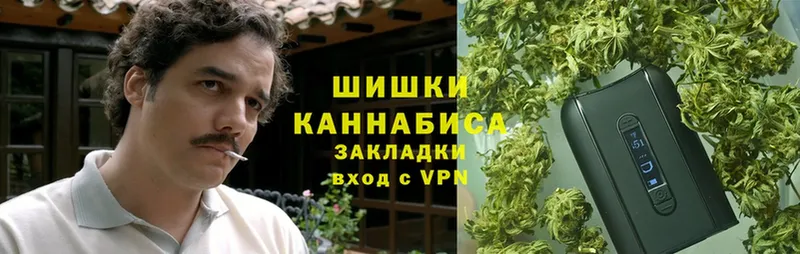 купить наркоту  гидра ССЫЛКА  Бошки Шишки White Widow  Дудинка 